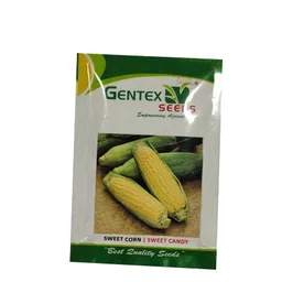 Gentex Seeds Hybird Sweet Corn Sugar Candy Seeds 100Gm image 1