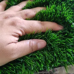 Griiham High Density Polyethylene Artificial Artificial Flora Grass Carpet/Mat Australian 50mm Grass (Green, 6.5ft x 2ft). image 3