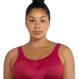 PARFAIT Rumba Red & Cherry Under Wired Padded Sports Bra-picture-10