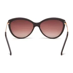 Irus Dark Brown Cat Eye UV Protection Sunglasses for Women image 5