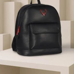 Allen Solly Black Backpack-picture-18