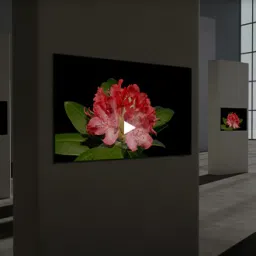 samsung 2.10 m (83) oled s90d 4k smart ai tv (2024) 83 image 5