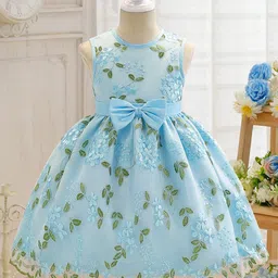 tior Net Woven Sleeveless Floral Embroidered Bow Applique Detailed Dress - Sky Blue-image-38