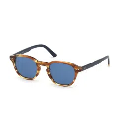 Web Eyewear Blue Cat Eye Sunglasses for Men Designed in Italy-image-52