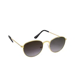 Walrus Men Black Lens & Gold-Toned Oval Sunglasses with UV Protected Lens-picture-13