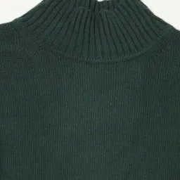GAP Dark Green Regular Fit Solid Sweater image 5