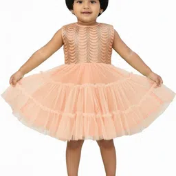 Aarika Net Fit & Flare Dress-picture-57