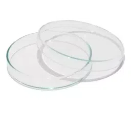 ABGIL Culture Petri Dish 150 mm Outer Diameter 20 mm Height Amber Borosilicate Glass 3.3, CPD-AC-206-05 image 1