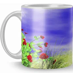 Gift4You Ceramic Cups-picture-29