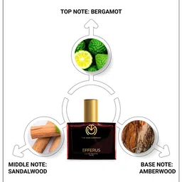 THE MAN COMPANY Efferus Eau De Toilette Perfume 30 ml image 4