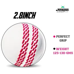 Jaspo Revive World Cup Edition PVC Cricket Ball Only-Durable and Ideal image 5