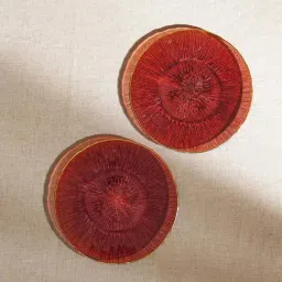 Pure Home and Living Red Glass Radial Dessert Plates - Set of 2-image-35
