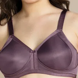 Van Heusen Purple T-Shirt Bra image 5