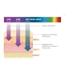 Avene Very High Protection Cream With SPF 50+ image 3