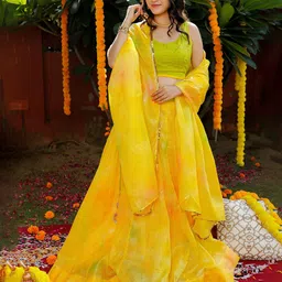 Jaipur Folk Embroidered Beads and Stones Foil Print Ready to Wear Lehenga & Unstitched Blouse With Dupatta-picture-44