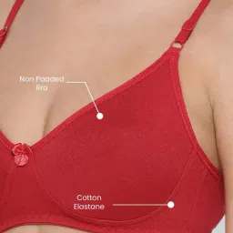 Lyra Red Cotton T-Shirt Bra image 5