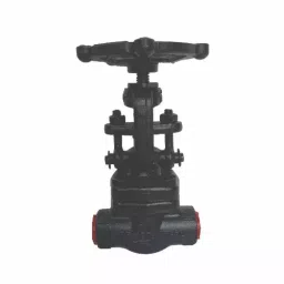 PMW Gate Valve A-105 Forged Steel Socket Weld End 20 mm (3/4 inch)-image-5