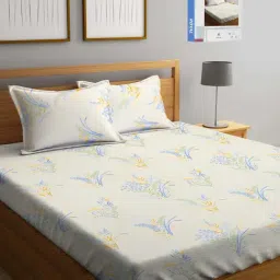Klotthe White Cotton Blend 300 TC Double Bed Sheet With 2 Pillow Covers-picture-27