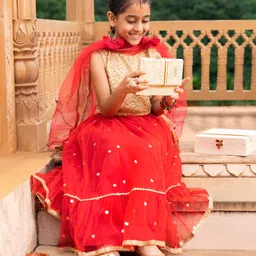 Babyhug Sleeveless Choli & Flared Lehenga Set With Dupatta - Red-picture-25