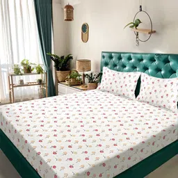 KLOTTHE Cream-Coloured Floral 300 TC King Double Bedsheet Set-2.50mx 2.25m-picture-27