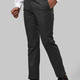 Raymond Men Grey Slim Fit Solid Formal Trousers image 3