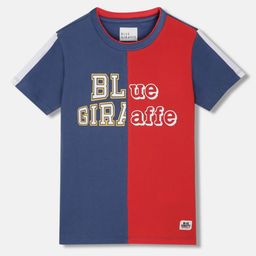 Blue Giraffe Boys Colourblocked Applique T-shirt-picture-34