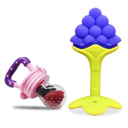 Chinmay Kids Baby Fruit Shape Teether & Soother Soft Stick Dental Care BPA- Free Pack of 2 Teether  - Light Blue Pink-picture-48