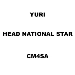 Yuri Head National Star Spare for Marble Cutter CM4SA-picture-35