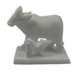 ASTRO-D Unisex Multi Showpieces-image-66