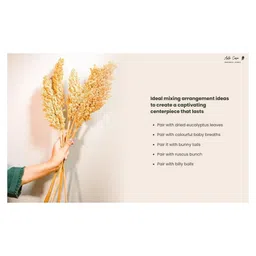 Arte Casa Corn Bunch image 5