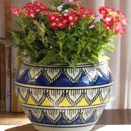 Ecofynd Ceramic Plant Potswith Drainage Hole - Pack of 1-picture-18