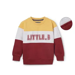 Sportking Boys Colourblocked Sweatshirt-picture-24
