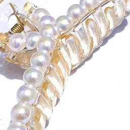 Watch junction Women Set of 2 Butterfly Hair Embellished Claw Clip image 5