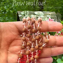 Apnisanskriti Unisex Rudraksha & Sphatik Beads Mala image 3