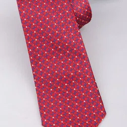 Alvaro Castagnino Men Woven Design Skinny Tie-picture-40