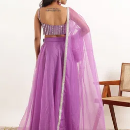 DEASHA INDIA Embroidered Mirror Work Ready to Wear Lehenga With Blouse & Dupatta image 5