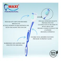 MAXI Expert Toothbrush Oral Hygiene Kit Pack of 12 - Multicolor image 4