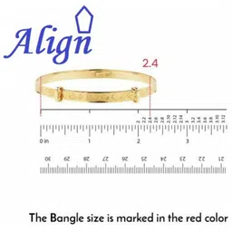 Align Set Of 2 Gold-Plated AD-Studded Bangles image 2