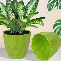 Kuber Industries Green 5 Pcs  Barfi Pattern Flower Pot image 3