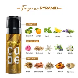 wild stone code Wild stone Unisex Set Of 3 Body Perfume Spray image 4