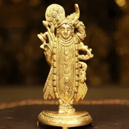 Ekaa Handicrafts Gold Brass Shreenath Ji Statue for Home-image-20