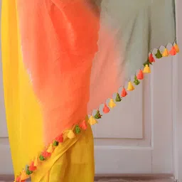 Pionex Tie and Dye Saree image 4
