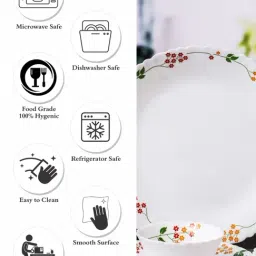 Cello Opal Glass Dinner Set of 18pcs CEL-DAZ-DS18-SECGAR-N image 4