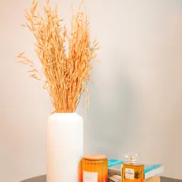 Arte Casa Natural Oats Bunch-picture-15