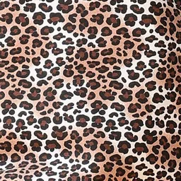 Anthrilo Girls Leopard Printed Pullover Sweatshirt image 5