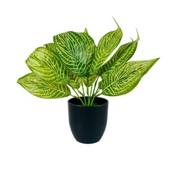 Dekorly Black Plastic Artificial Flowers & Plants With Pot-picture-15