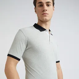 Park Avenue Men Solid Polo Collar Cotton T-shirt image 3