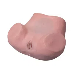 A-ONE SCIENCE Skin Color PVC Gynaecological Training Model AOSBM206 image 2