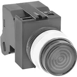 IDEC TW Series APW1 Type LED Pilot Light with 22 mm Mounting Hole Dia, APW146DS-image-0
