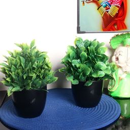 FOLIYAJ Green 2 Pieces Artificial Plant With Pot-picture-31